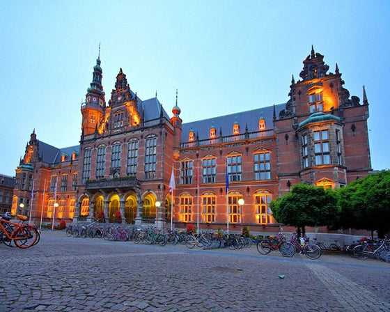 MBA studerende fra University of Groningen