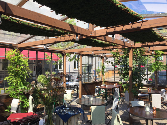 Restaurant LaLaLa bruger mos til at sikre bedre akustik