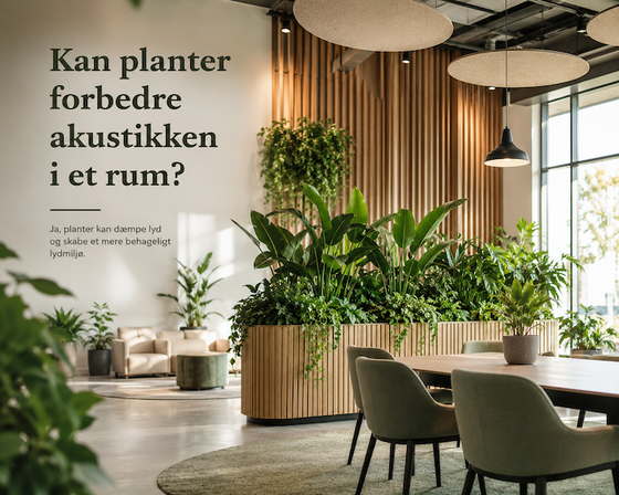 Kan planter forbedre akustikken i et rum ?