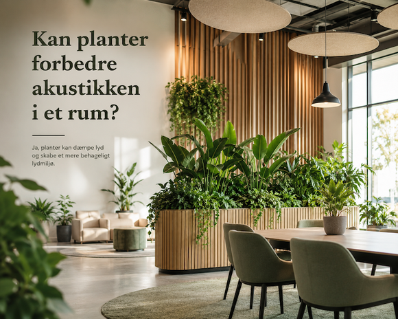 Kan planter forbedre akustikken i et rum ?