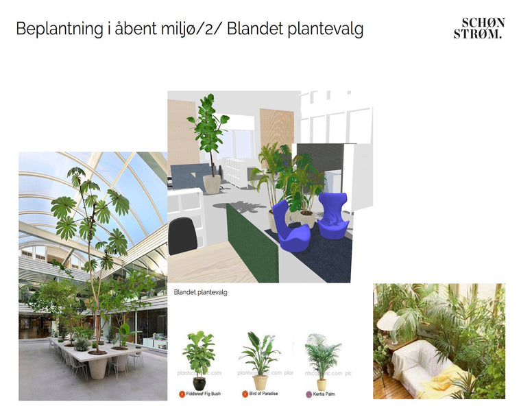 REPLANT - Grønne planteforslag til et sundere kontor.-2rethink furniture