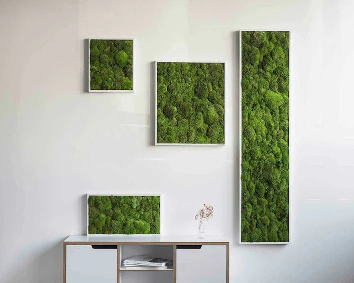 Solgt. ! Mosbillede 100x60 cm - hvid ramme pudemos
